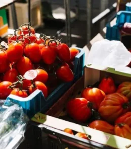 Food and agricultural products