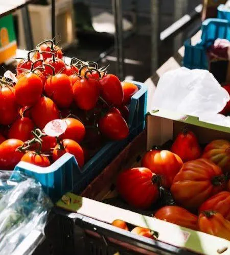 مجموعة بريان